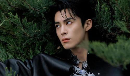 王鹤棣娱乐公司八卦爆料,揭秘明星背后的真实故事